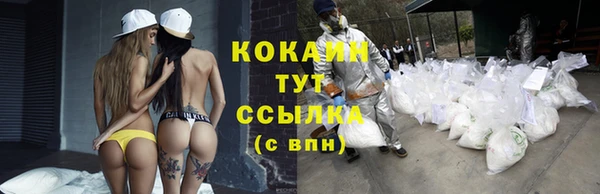 дживик Алзамай