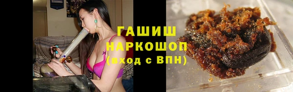 гидра Покачи